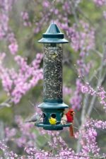 Squirrel Buster Plus Squirrel-proof Bird Feeder w/Cardinal Ring and 6 Feeding Ports, 5.1-pound Seed Capacity, Adjustable, Pole-mountable (POLE ADAPTOR SOLD SEPARATELY), Green - Image 8