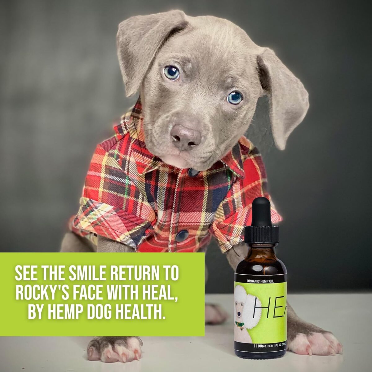 Heal - Seizure Relief, Autoimmune & Cushing's Support - Add to Dog’s Gums or Food for Overall Wellness - 100% Natural Support for Your Canine with Our Hemp Oil for Dogs - Image 8