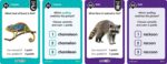 Teacher Created Resources SpellChecked Card Game - Image 2