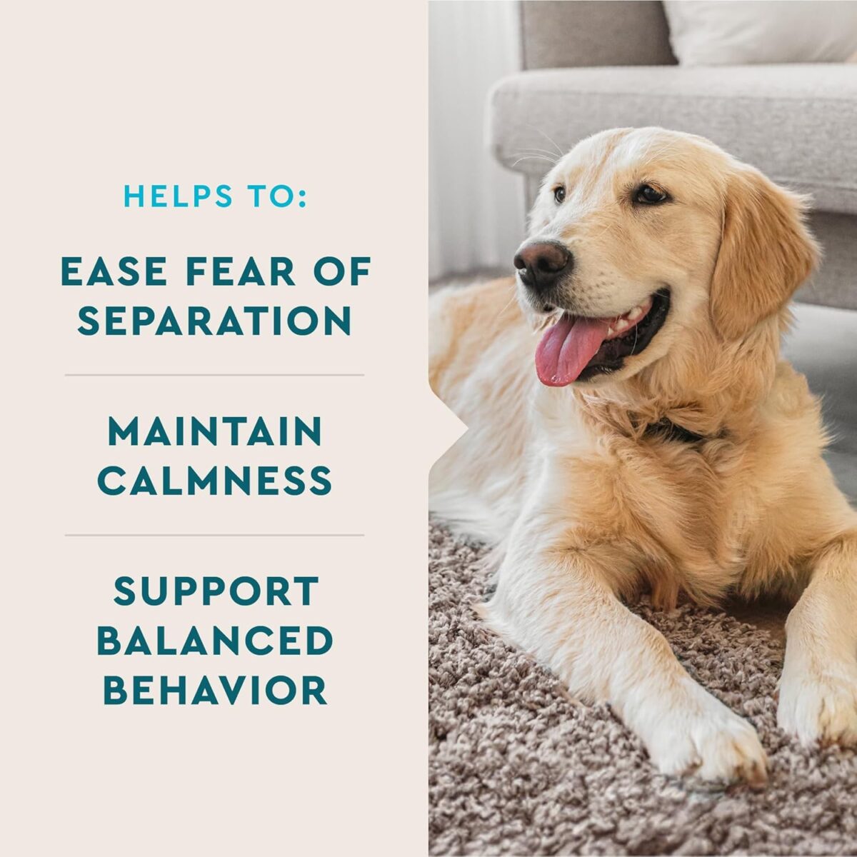 VetIQ Calming Support Supplement for Dogs, Calming Chews Help Manage Stress and Promote Relaxation, Anxiety Relief for Dogs, Made in The USA, 60 Count - Image 4