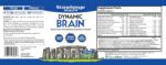 Stonehenge Health Dynamic Brain Supplement – New Formula with BacoMind for Memory Acquisition, Retention, & Recall with 40 Unique Nootropic: Choline, Phosphatidylserine, and Huperzine A - Image 8