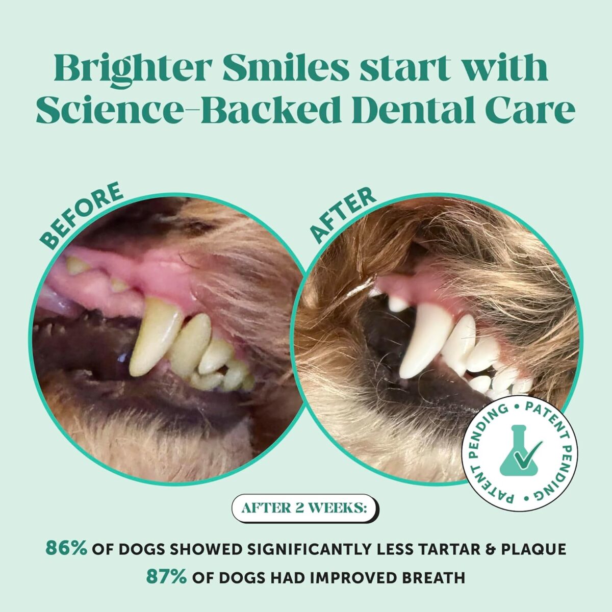 Pet Honesty Dog Breath Freshener Dental Powder for Teeth Cleaning Plaque Off, Dental Care for Dogs, Tartar Remover for Teeth with Natural Herbal Blend + Postbiotics (Mint - 30 Servings) - Image 2