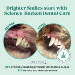 Pet Honesty Dog Breath Freshener Dental Powder for Teeth Cleaning Plaque Off, Dental Care for Dogs, Tartar Remover for Teeth with Natural Herbal Blend + Postbiotics (Mint - 30 Servings) - Image 2