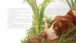 Classic Storybook Fables: Including "Beauty and the Beast" and Other Favorites - Image 5