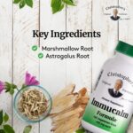 Christopher's Original Formulas Immucalm - Immune Support Supplement - Immune Boosters for Adults - Image 3