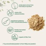 Micro Ingredients Organic Cordyceps Mushroom Extract Powder, 8 Ounces | 100:1 Fruit Body & Mycelium Extract | Active Polysaccharides & Cordycepic Acid | Supports Energy & Immune Health - Image 3