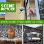 Window Bird Feeder with Non-Marking Self-Adhesive Hooks, Clear and Transparent, Outdoor Wild Bird Watching Gift, Garden Decor - Image 6