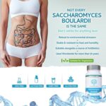 Saccharomyces Boulardii 5 Billion CFU 90 Capsules - No Refrigeration Required - High Strength Non-Colonising Yeast with synergistic Olive Leaf, Biotin and Vitamin D3 - Image 4