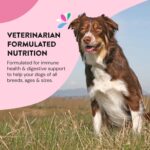 Daily Wellness Supplements for Dogs | Boosts Immune System Support and Digestive Gut Health for Dogs and Puppies | All Natural Ingredients Tasty Kibble Dog Food Topper | 21 Count Pack - Image 5