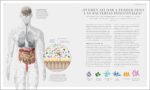 La ciencia de la nutrición (The Science of Nutrition): Conoce los falsos mitos de las dietas y aprende a comer bien para tener una vida (DK Science of) (Spanish Edition) - Image 4