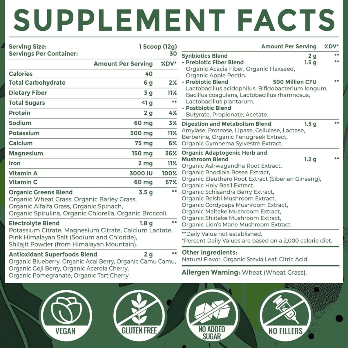 Super Greens Powder Superfood Supplement + Electrolytes & Tonic Herbs | Organic Greens, Adaptogens, Shilajit, Antioxidants, Prebiotic & Probiotic & Postbiotic | for Gut, Energy & Immune | 30 Servings - Image 2
