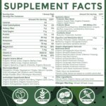 Super Greens Powder Superfood Supplement + Electrolytes & Tonic Herbs | Organic Greens, Adaptogens, Shilajit, Antioxidants, Prebiotic & Probiotic & Postbiotic | for Gut, Energy & Immune | 30 Servings - Image 2