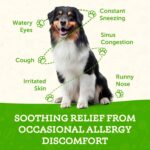 Animal Essentials Seasonal Allergy- Herbal Formula for Dogs & Cats for Occasional Allergy Relief, Sweet Taste, 100% Organic Human Grade Herbs, Veterinarian Recommended Animal Wellness Tonics - 1 Fl Oz - Image 3