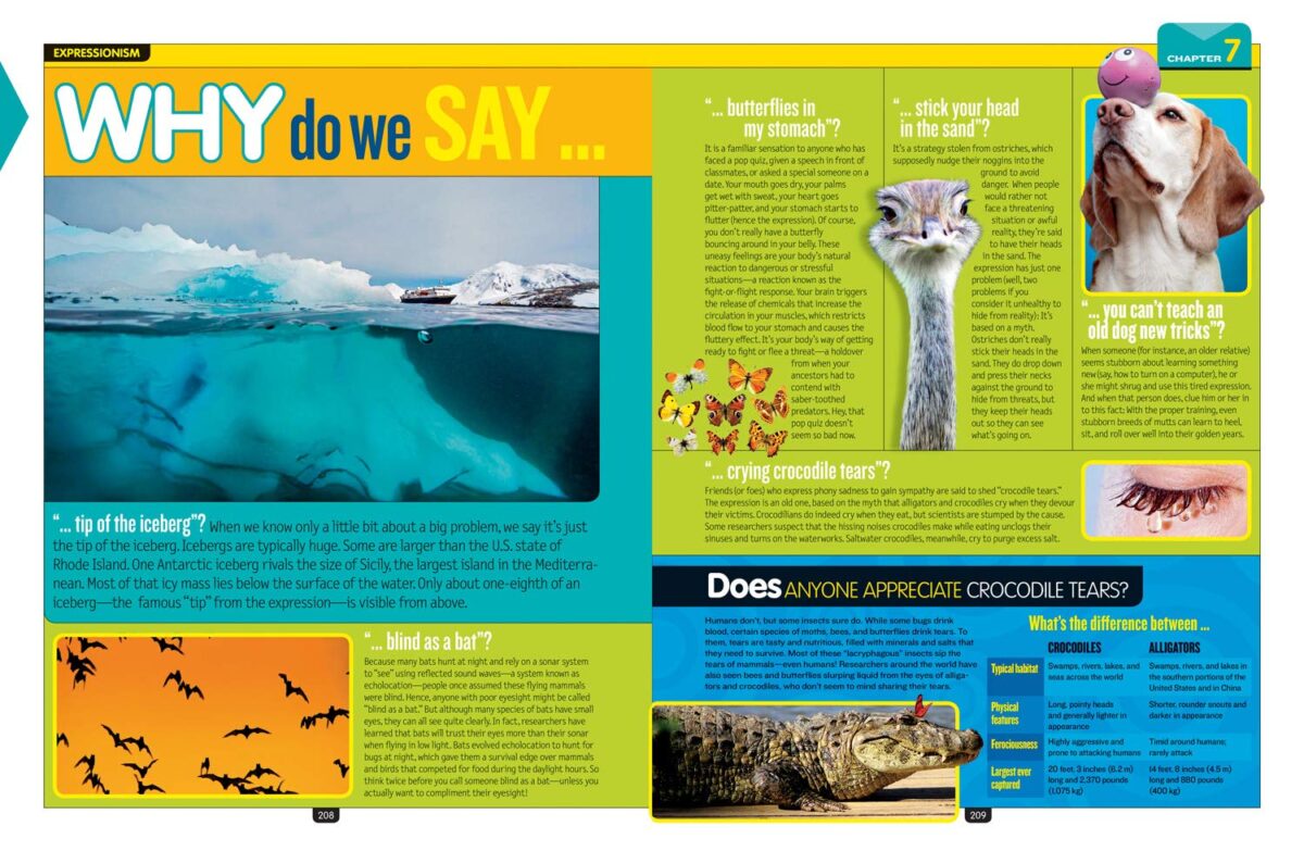National Geographic Kids Why?: Over 1,111 Answers to Everything - Image 8