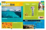 National Geographic Kids Why?: Over 1,111 Answers to Everything - Image 8