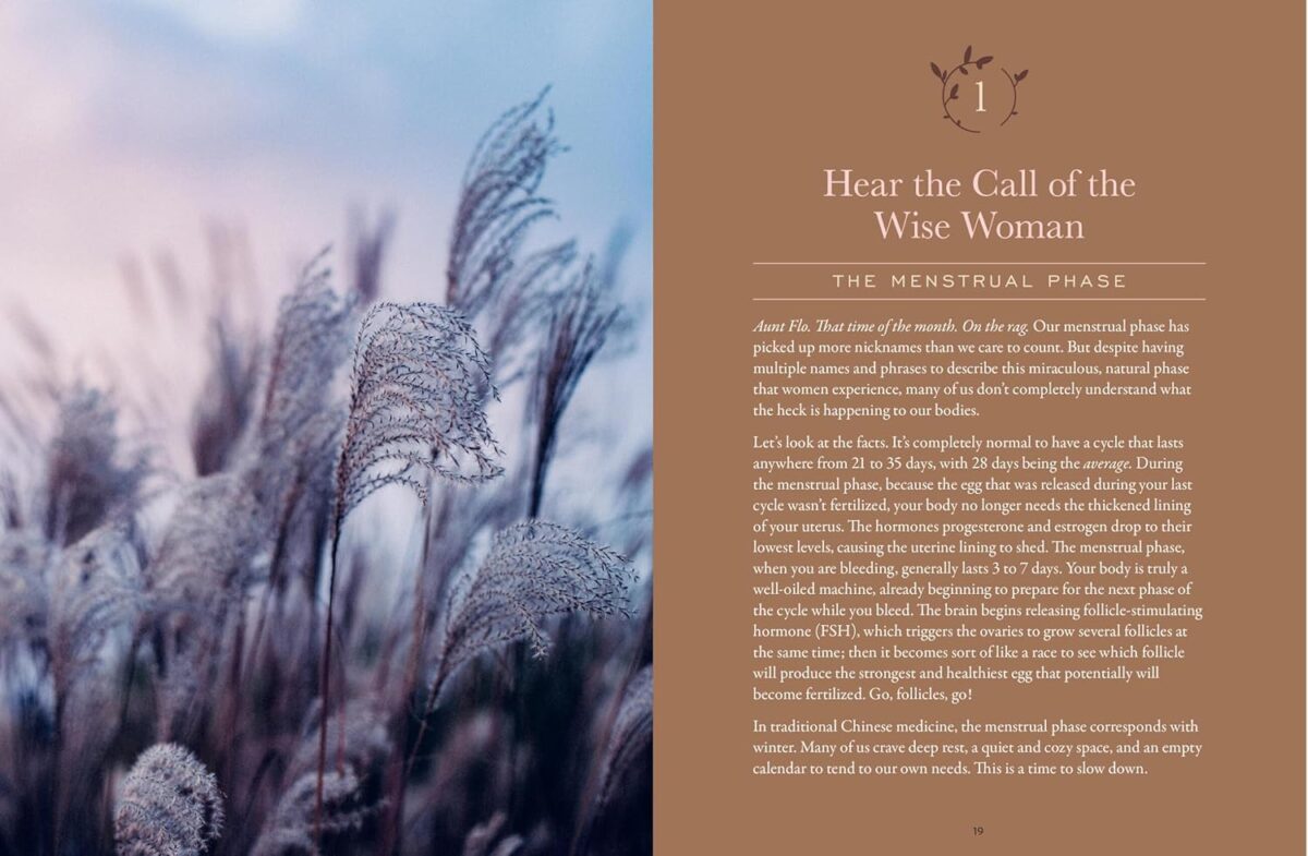 The Moon Cycle Cookbook: A Holistic Nutrition Guide for a Well-Balanced Menstrual Cycle - Image 3