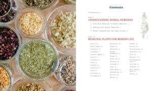 Herbal Medicine for Modern Life: Traditional Folk Remedies for Everyday Health and Well-Being - Image 3