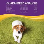 Wellness Natural Pet Food Grain Free Puppy Training Treats, 2 Pack - Image 6