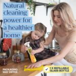 Starter Cleaning Kit - Home-friendly Cleaning Solution With Refillable Glass Bottle - Fabtab Multi-surface Cleaner Tablets For A Modern, Eco-conscious Home - Plant-Based Products - Image 2