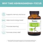 Himalaya Ashwagandha+ Focus with Ashwagandha, Bacopa, Rosemary & Green Tea for Memory, Focus and Clarity, 60 Capsules, 1 Month Supply, Vegan, Gluten Free - Image 4