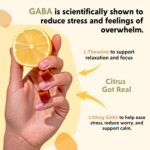 PYM Citrus Mood Chews Support for Stress, Worry & Overwhelm, 20 Count | 130mg GABA, 90mg L-Theanine | Vegan, Non-GMO, Gluten-Free, No Added Sugar | All-Natural Mood Balance Supplement Made in USA - Image 5