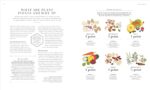 The Science of Plant-based Nutrition: How to Enhance the Power of Plants for Optimal Health: The Sunday Times Bestseller - Image 7