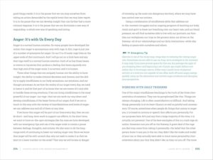 Mindfulness for Anger Management: Transformative Skills for Overcoming Anger and Managing Powerful Emotions - Image 5
