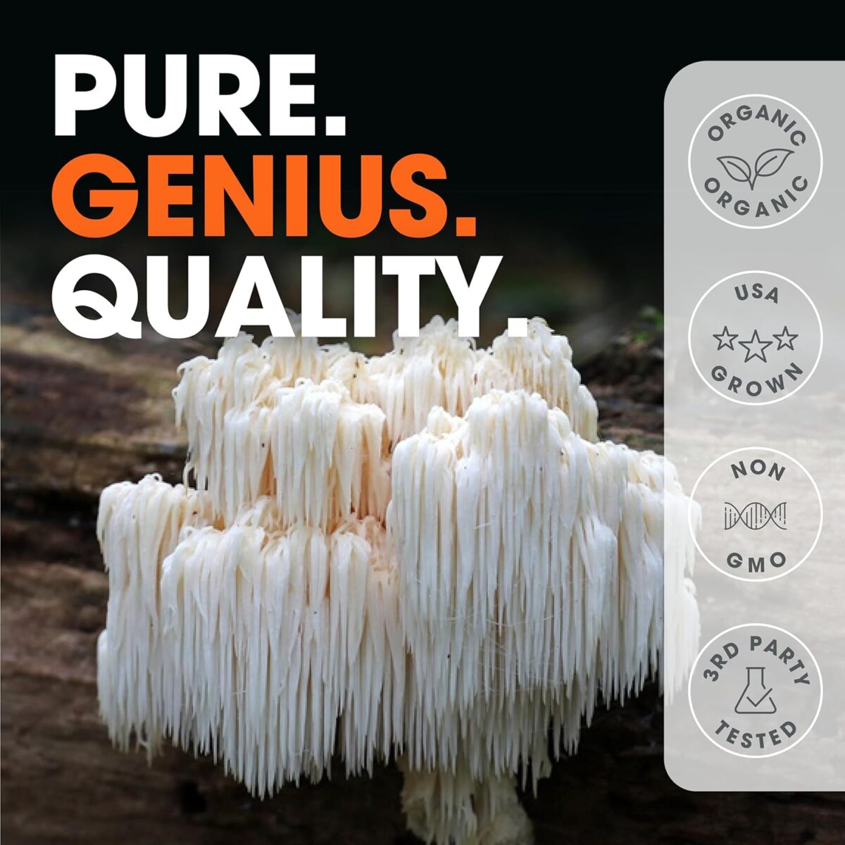 Genius Lion’s Mane Supplement Capsules – Organic Full Spectrum Mushrooms for Cognition, Focus & Memory – 1,200mg Per Serving, 120 Count (60 Servings) – Grown in The USA - Image 5
