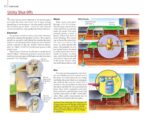 The Complete Do-it-Yourself Manual (Family Handyman) - Image 5