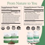Real Mushrooms 5 Defenders Capsules - Organic Mushroom Extract w/Chaga, Shiitake, Maitake, Turkey Tail, Reishi Supplement for Focus, Immune Support Vegan, Non-GMO, 90 Caps - Image 3