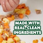 Nurture Life Finger Foods, Chicken, Healthy Stage 3 Baby Food, Ready to Eat Snack for Kids, Freshly Cooked, Made to Order, Ships Fresh in Refrigerated Box, 6-Meal Variety Pack - Image 2