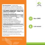 Terry Naturally Adaptra - Supplement to Support Adrenal Health - Ashwagandha Supplement with Rhodiola Rosea Extract - Herbal Supplement to Support Energy & Concentration - 60 Capsules (Pack of 2) - Image 2