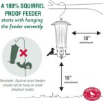 Perky-Pet 334-1SR Squirrel-Be-Gone Max Large Wild Bird Feeder with Flexports, Squirrel Proof Bird Feeder with Weight-Activated Perches - 4LB Seed Capacity - Image 10