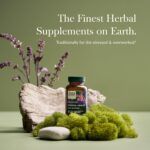 Gaia Herbs Adrenal Health Daily Support - with Ashwagandha, Holy Basil & Schisandra - Herbal Supplement to Help Maintain Healthy Energy and Stress Levels - 60 Liquid Phyto-Capsules (60 Count) - Image 3