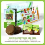 Root Viewer Kit for Kids - Easter Gifts - Grow Your Own Plant for Boys & Girls - Science STEM Toy & Craft Growing Kits for Ages 4-8 Birthday Gifts for Boy, Girl 4, 5, 6, 7, 8, Year Old - Gardening Toy - Image 5