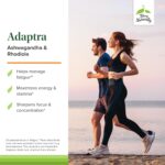 Terry Naturally Adaptra - Supplement to Support Adrenal Health - Ashwagandha Supplement with Rhodiola Rosea Extract - Herbal Supplement to Support Energy & Concentration - 60 Capsules (Pack of 2) - Image 3