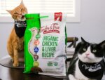 Tender & True Organic Chicken & Liver Recipe Cat Food, 3 lb - Image 4
