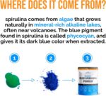 Organic Blue Spirulina Powder - 100% Pure Blue-Green Algae, No Fishy Smell, Vegan Superfood for Smoothies & Drinks, Non GMO, Gluten-Free, Vegan - Image 6