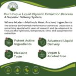 USDA Organic Licorice Root Extract Liquid Drops Supplement. Vegan Tincture for Digestion + Respiratory Health. Extracto de Regaliz Root Oil Herb. Zero Sugar, Gluten Free Supplements for Women and Men - Image 4