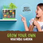 Root Viewer Kit for Kids - Easter Gifts - Grow Your Own Plant for Boys & Girls - Science STEM Toy & Craft Growing Kits for Ages 4-8 Birthday Gifts for Boy, Girl 4, 5, 6, 7, 8, Year Old - Gardening Toy - Image 4