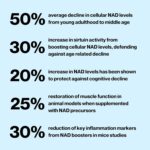 NAD Booster | Longevity Supplement for Healthy Aging with NR (Nicotinamide Riboside) and Nicotinamide | Promotes Cell Function & Vitality | Non-GMO & 3rd Party Tested - Image 2