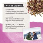 Numi Organic Tea Immunity Variety Pack, 16 Tea Bags (Pack of 3), Elderberry and Echinacea Tea - Image 6