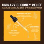 Earth Animal Herbal Remedies | Urinary and Kidney Relief | 2 fl oz - Image 2