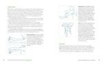 The Rheumatoid Arthritis Healing Plan: A Holistic Guide and Cookbook for Inflammation Relief - Image 6
