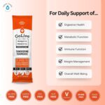 GoLive Prebiotic and Probiotic for Women, Men, Kids. Tangerine Turmeric Synbiotic Powder w/ L-Glutamine, Vitamin D3, Electrolytes. For Gut Health, Digestion, Metabolism, Immunity 15-50B CFUs. - Image 3