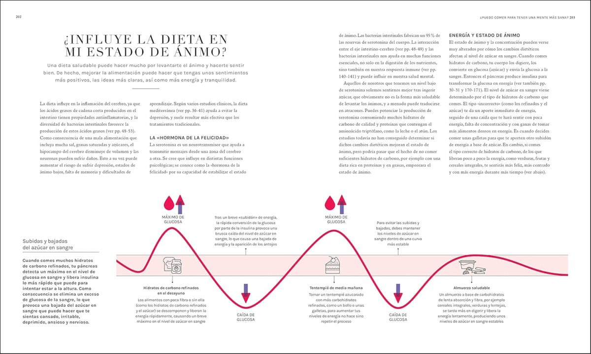 La ciencia de la nutrición (The Science of Nutrition): Conoce los falsos mitos de las dietas y aprende a comer bien para tener una vida (DK Science of) (Spanish Edition) - Image 6