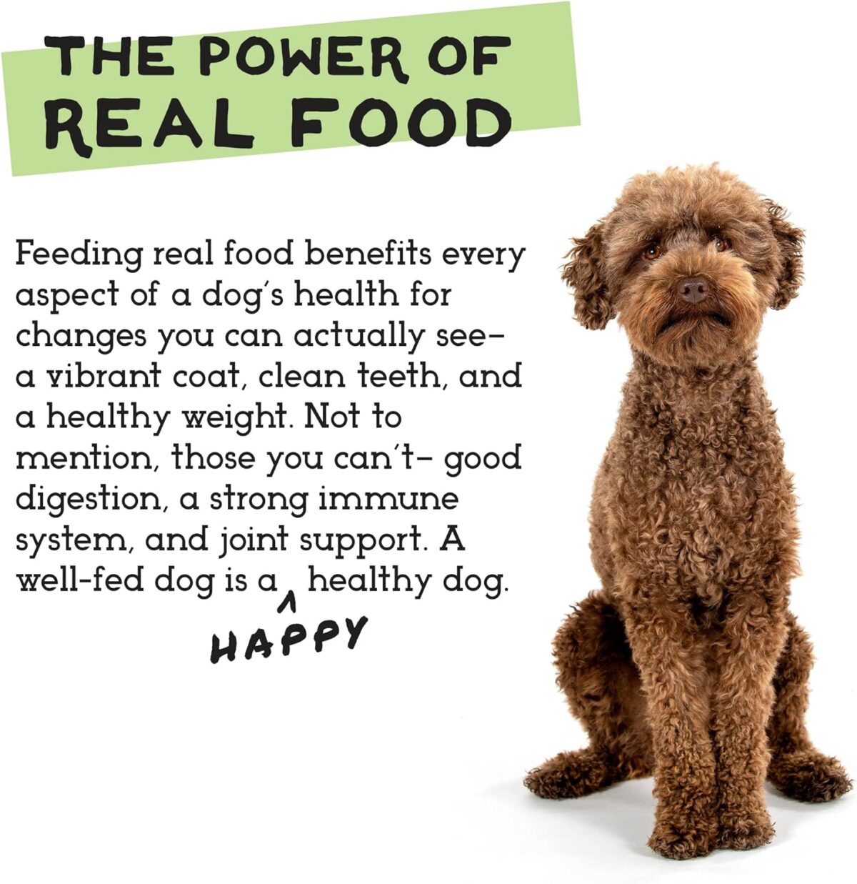 Simple Food Project The Freeze Dried Raw Dog Food Topper Featuring Organic Human Grade Ingredients [6 Pack Variety - 1oz Samples Bison, Duck, Lamb, Beef/Salmon, Duck/Trout, and Chicken/Turkey] … - Image 7