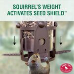 Perky-Pet 334-1SR Squirrel-Be-Gone Max Large Wild Bird Feeder with Flexports, Squirrel Proof Bird Feeder with Weight-Activated Perches - 4LB Seed Capacity - Image 6