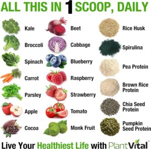 PlantVital Vegan Protein Powder Plant Based, Organic Protein Powder Chocolate, 24g/0g sugar, 12 Superfoods, Veggies, Probiotics, Raw Cocoa, Kale, Beets, Spirulina, Pea, Gluten-Free, Keto-Friendly,16oz - Image 3