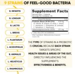 Lifted Naturals Mood Boosting Probiotic 30 Billion CFU - Mood Support Supplement, Prebiotics and Probiotics for Women & Men, Acidophilus Lactobacillus Probiotic, Shelf Stable & Non-GMO, 60 Capsules - Image 3